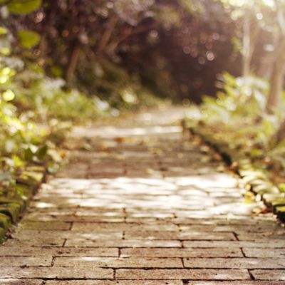 尊龙ag旗舰厅登录